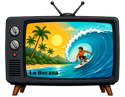 Web Cam La Bocana